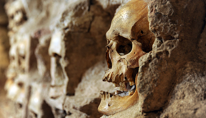 nis-cele-kula-shutterstock_1482907643-2